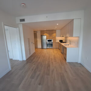 AustinHeights_Kitchen1