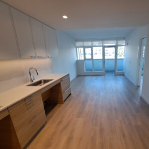 AustinHeights_Kitchen2